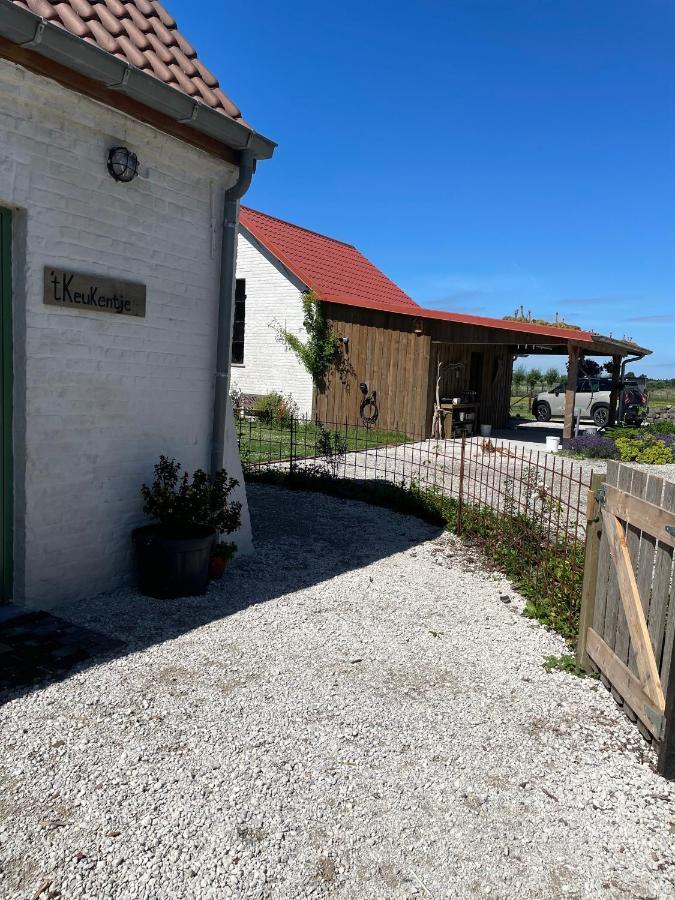De Wabisabiboerderij Acomodação com café da manhã Oedelem Exterior foto