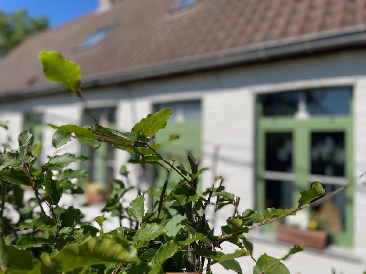 De Wabisabiboerderij Acomodação com café da manhã Oedelem Exterior foto